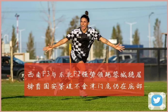 西南F3与东北F2强势领跑蓉城稳居榜首国安紧追不舍津门虎仍在底部挣扎